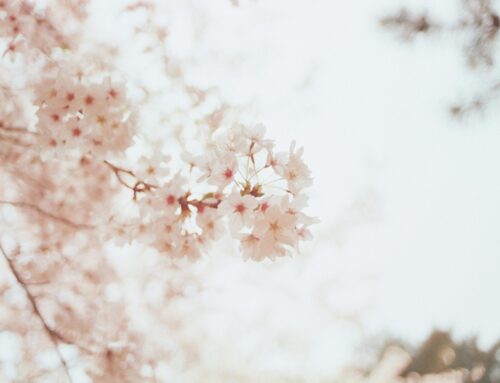 Your Consistency Will Distinguish You