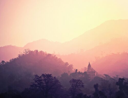 Walking In The Will Of God