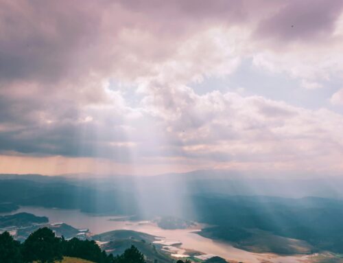 Established In His Will