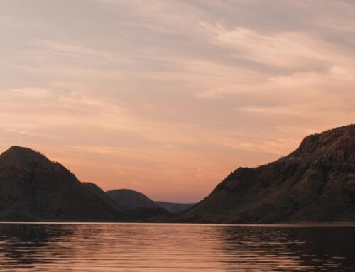 Operate From A Higher Realm