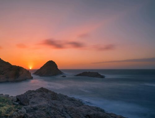 The Word Will Prevail