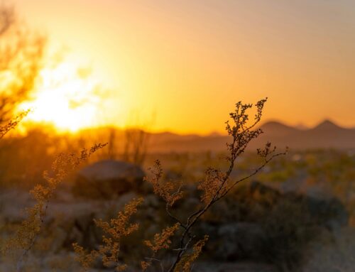 The Blessing Of Godly Friendship