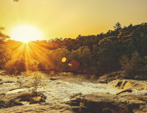 Absolute Dependence On God