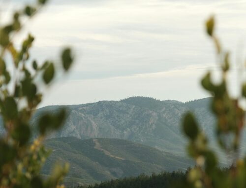 A Divine Perspective