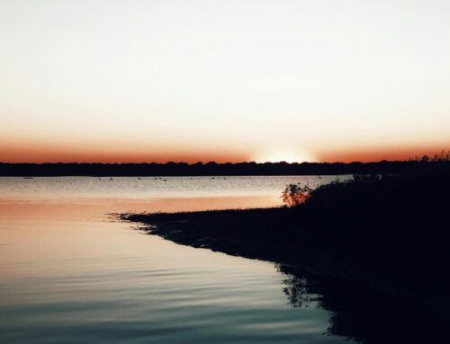 There Is Purpose In The Chaos