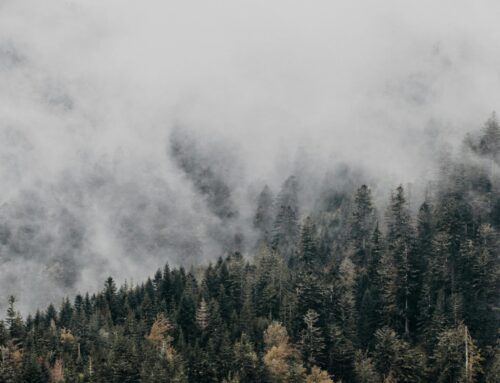 The Blessing of Divine Exemption