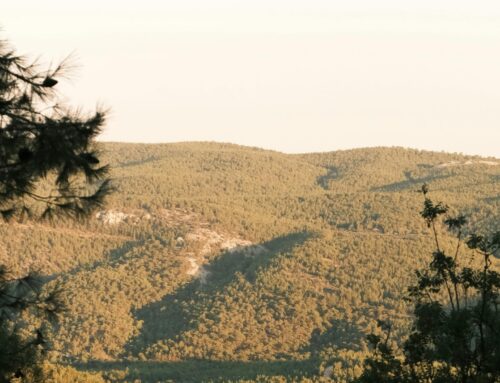 My God Is Never Late